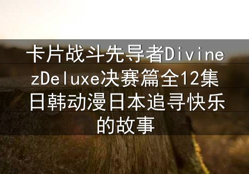 卡片战斗先导者DivinezDeluxe决赛篇全12集日韩动漫日本追寻快乐的故事