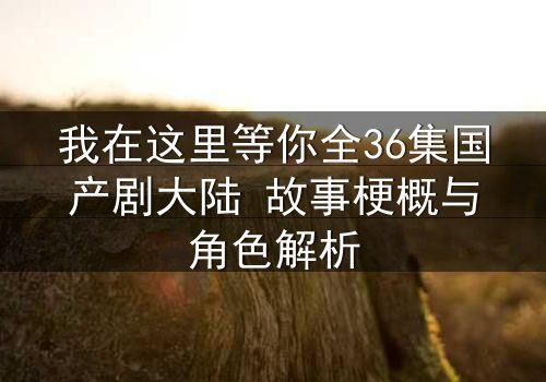 我在这里等你全36集国产剧大陆 故事梗概与角色解析