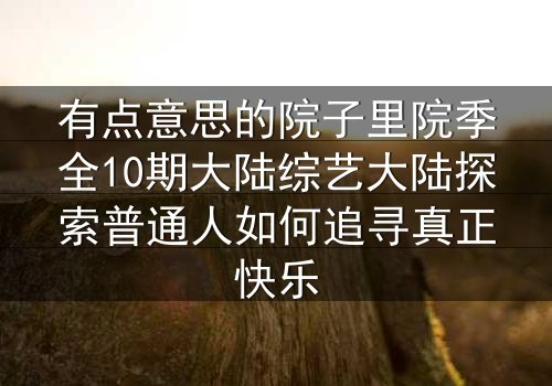 有点意思的院子里院季全10期大陆综艺大陆探索普通人如何追寻真正快乐