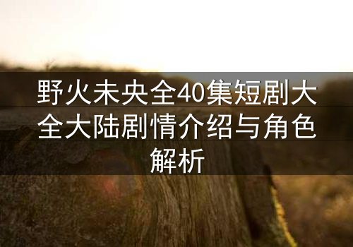 野火未央全40集短剧大全大陆剧情介绍与角色解析
