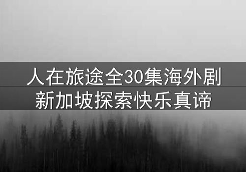 人在旅途全30集海外剧新加坡探索快乐真谛