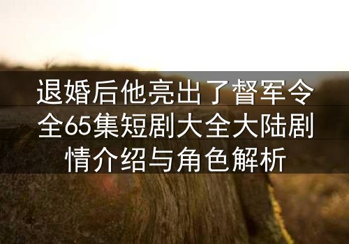 退婚后他亮出了督军令全65集短剧大全大陆剧情介绍与角色解析