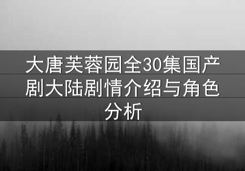 大唐芙蓉园全30集国产剧大陆剧情介绍与角色分析