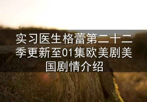 实习医生格蕾第二十二季更新至01集欧美剧美国剧情介绍