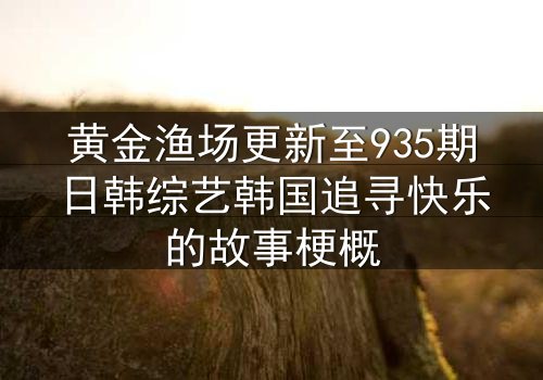 黄金渔场更新至935期日韩综艺韩国追寻快乐的故事梗概