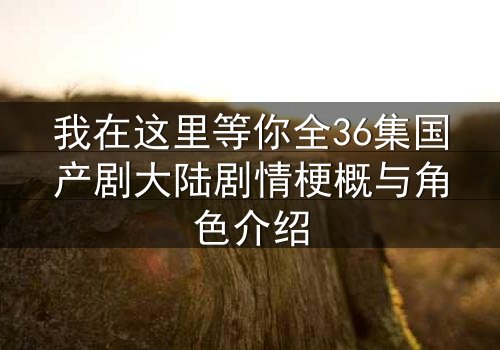 我在这里等你全36集国产剧大陆剧情梗概与角色介绍