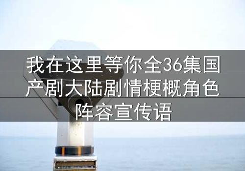我在这里等你全36集国产剧大陆剧情梗概角色阵容宣传语