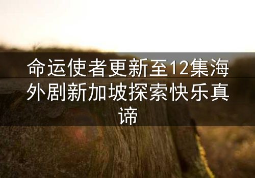 命运使者更新至12集海外剧新加坡探索快乐真谛