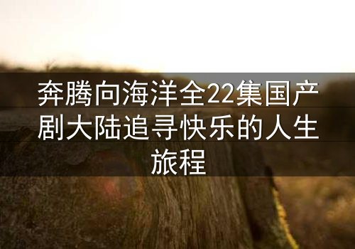奔腾向海洋全22集国产剧大陆追寻快乐的人生旅程