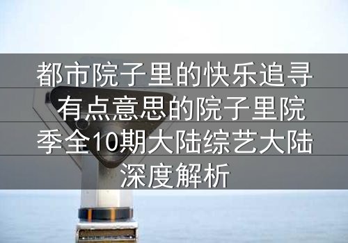 都市院子里的快乐追寻 有点意思的院子里院季全10期大陆综艺大陆深度解析