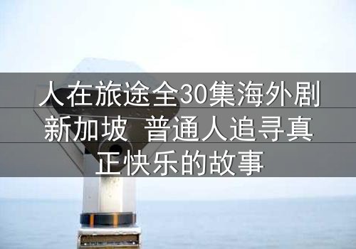 人在旅途全30集海外剧新加坡 普通人追寻真正快乐的故事