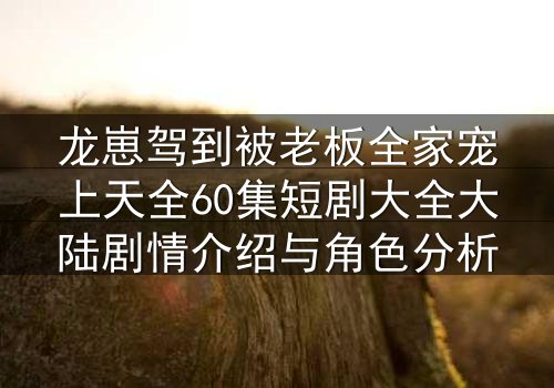 龙崽驾到被老板全家宠上天全60集短剧大全大陆剧情介绍与角色分析