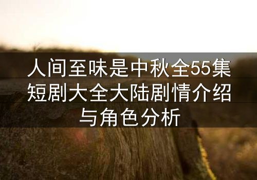 人间至味是中秋全55集短剧大全大陆剧情介绍与角色分析