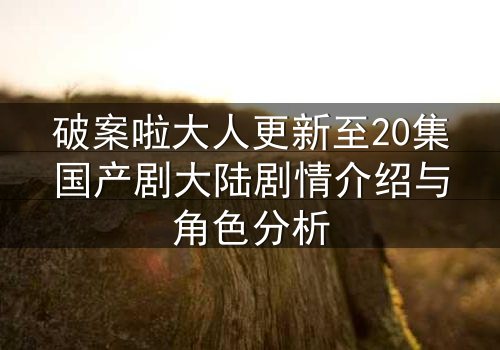 破案啦大人更新至20集国产剧大陆剧情介绍与角色分析