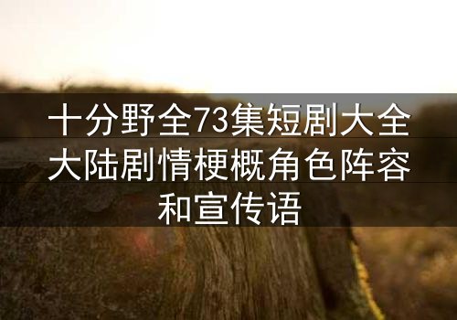 十分野全73集短剧大全大陆剧情梗概角色阵容和宣传语