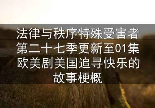 法律与秩序特殊受害者第二十七季更新至01集欧美剧美国追寻快乐的故事梗概