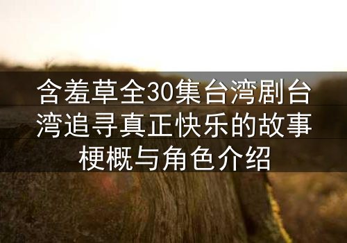 含羞草全30集台湾剧台湾追寻真正快乐的故事梗概与角色介绍