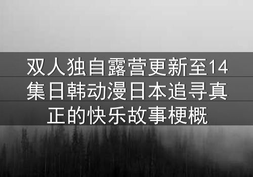 双人独自露营更新至14集日韩动漫日本追寻真正的快乐故事梗概