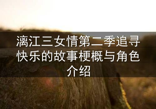 漓江三女情第二季追寻快乐的故事梗概与角色介绍