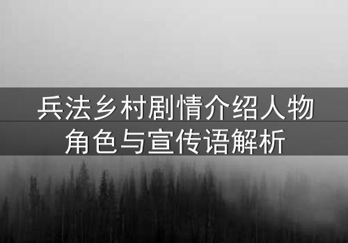 兵法乡村剧情介绍人物角色与宣传语解析
