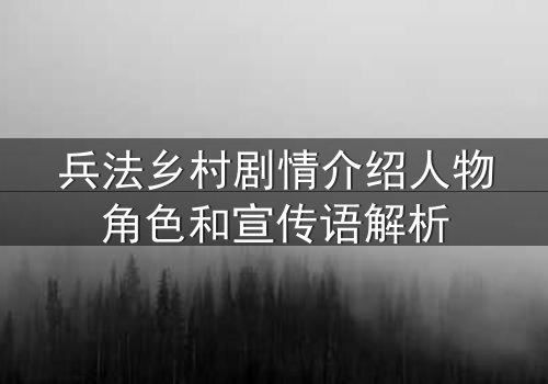 兵法乡村剧情介绍人物角色和宣传语解析