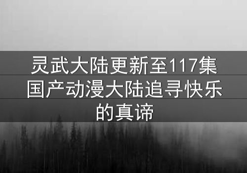 灵武大陆更新至117集国产动漫大陆追寻快乐的真谛