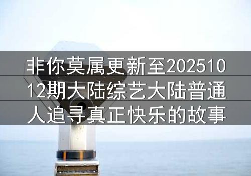 非你莫属更新至20251012期大陆综艺大陆普通人追寻真正快乐的故事