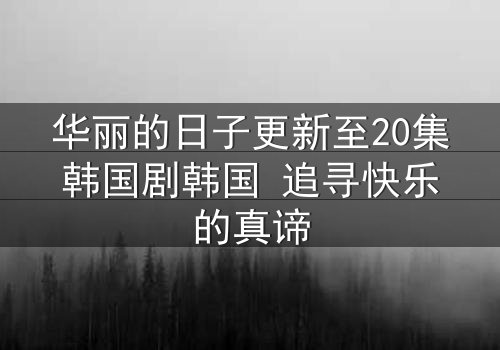 华丽的日子更新至20集韩国剧韩国 追寻快乐的真谛