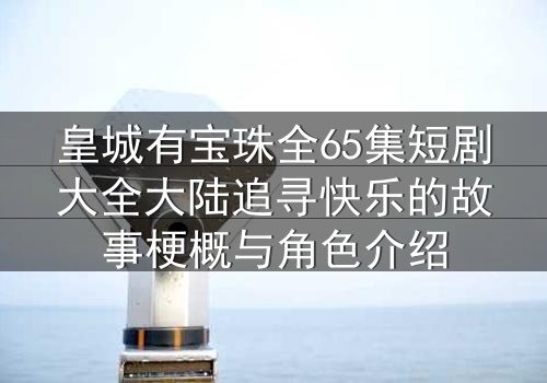 皇城有宝珠全65集短剧大全大陆追寻快乐的故事梗概与角色介绍