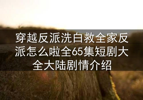 穿越反派洗白救全家反派怎么啦全65集短剧大全大陆剧情介绍