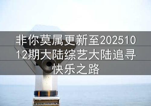 非你莫属更新至20251012期大陆综艺大陆追寻快乐之路