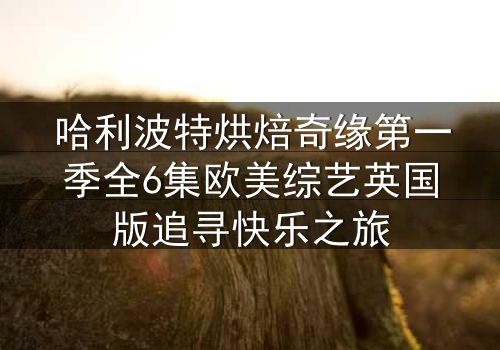 哈利波特烘焙奇缘第一季全6集欧美综艺英国版追寻快乐之旅
