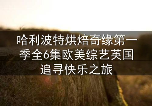 哈利波特烘焙奇缘第一季全6集欧美综艺英国追寻快乐之旅