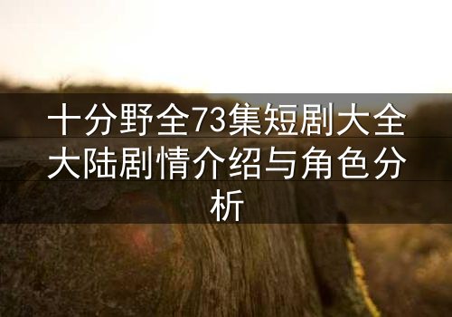 十分野全73集短剧大全大陆剧情介绍与角色分析