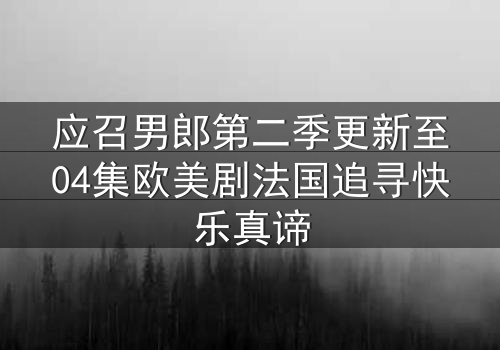 应召男郎第二季更新至04集欧美剧法国追寻快乐真谛