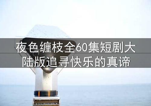 夜色缠枝全60集短剧大陆版追寻快乐的真谛