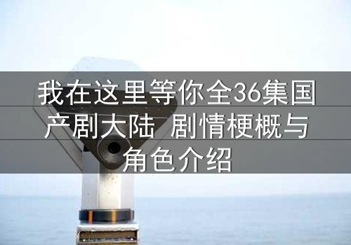 我在这里等你全36集国产剧大陆 剧情梗概与角色介绍