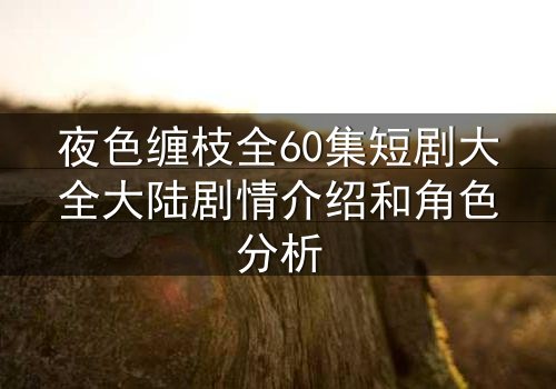 夜色缠枝全60集短剧大全大陆剧情介绍和角色分析
