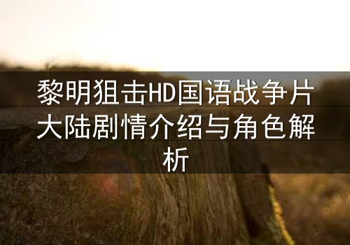 黎明狙击HD国语战争片大陆剧情介绍与角色解析