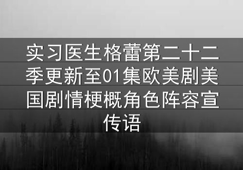 实习医生格蕾第二十二季更新至01集欧美剧美国剧情梗概角色阵容宣传语