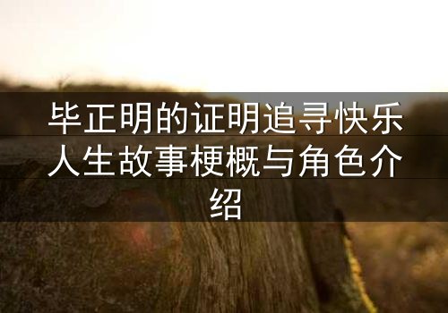 毕正明的证明追寻快乐人生故事梗概与角色介绍