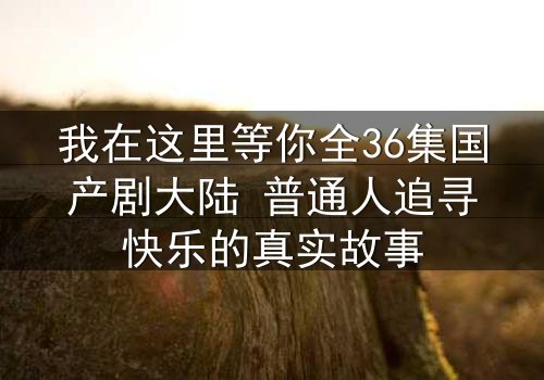 我在这里等你全36集国产剧大陆 普通人追寻快乐的真实故事