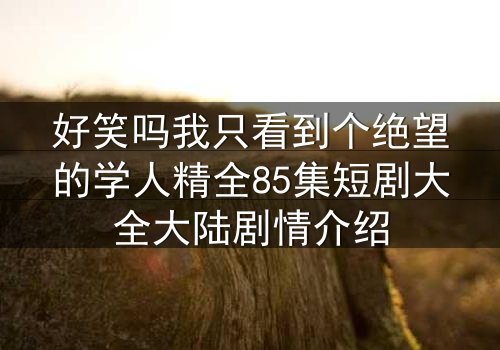 好笑吗我只看到个绝望的学人精全85集短剧大全大陆剧情介绍