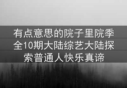 有点意思的院子里院季全10期大陆综艺大陆探索普通人快乐真谛