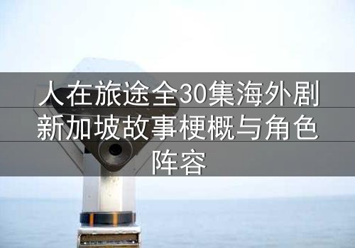 人在旅途全30集海外剧新加坡故事梗概与角色阵容