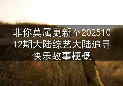非你莫属更新至20251012期大陆综艺大陆追寻快乐故事梗概