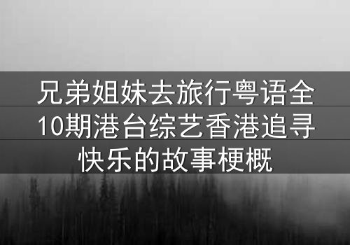兄弟姐妹去旅行粤语全10期港台综艺香港追寻快乐的故事梗概