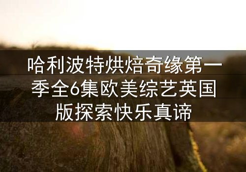 哈利波特烘焙奇缘第一季全6集欧美综艺英国版探索快乐真谛