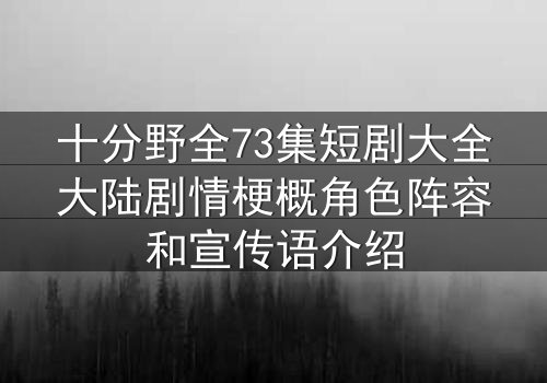 十分野全73集短剧大全大陆剧情梗概角色阵容和宣传语介绍