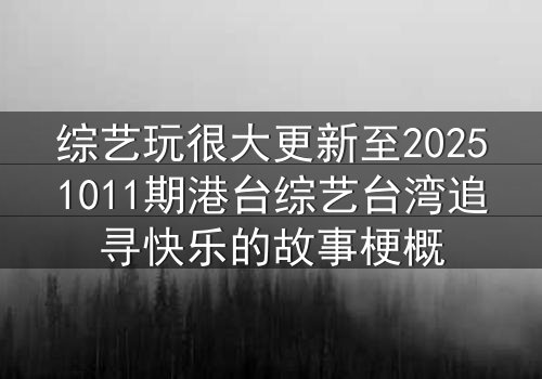 综艺玩很大更新至20251011期港台综艺台湾追寻快乐的故事梗概